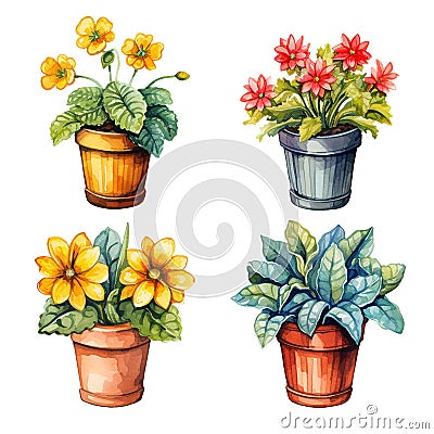 set of home flowers in pots, watercolor drawing. Cartoon Illustration