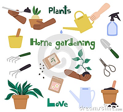Set of home gardening elements design in flat style. Plants in pots, seeds, watering can, garden tools. Hands holding a Vector Illustration