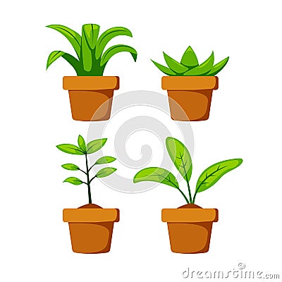 Set home or indoor plant on pot vector object element decoration for illustration project Vector Illustration