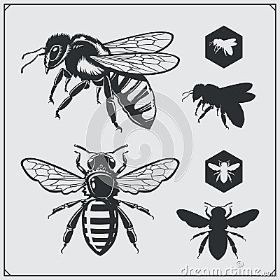 Set of honey emblems and design elements. Honeycombs, bee silhouettes. Vector Illustration