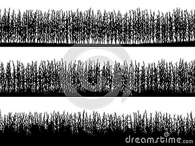 Horizontal banners of field silhouettes with corn. Vector Illustration