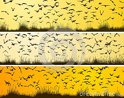 Set of horizontal banners with flock of birds at sunset. Vector Illustration