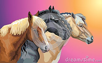 Set of horses breeds 9 Vector Illustration