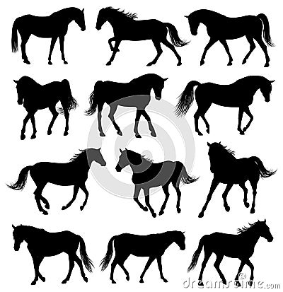 Set of 12 horses silhouettes Vector Illustration