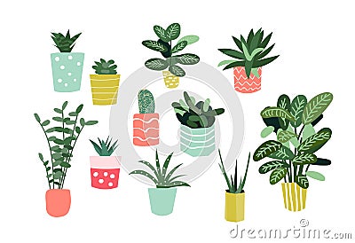 Potted plants collection. succulents and house plants. hand drawn vector art. Vector Illustration