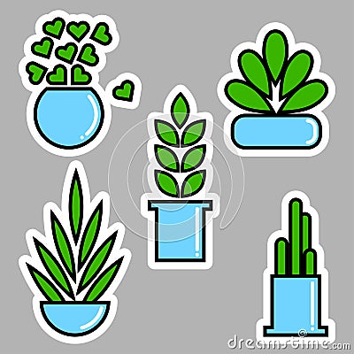 Set of house plants in pots Cartoon Illustration