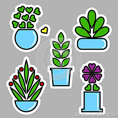 Set of house plants in pots Cartoon Illustration