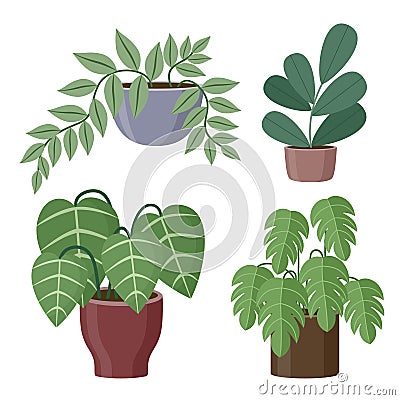 Set of house plants on a white background Vector Illustration