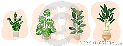 Set of houseplants - monstera, ficus, ravenala palm, rubber plant, pipal, zamioculcas. Vector illustration isolated on Vector Illustration