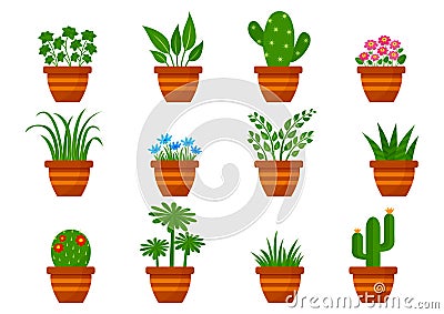 Set of houseplants in pots. Vector illustration Cartoon Illustration