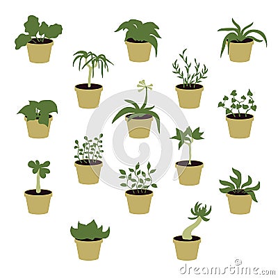 Set of houseplants Vector Illustration