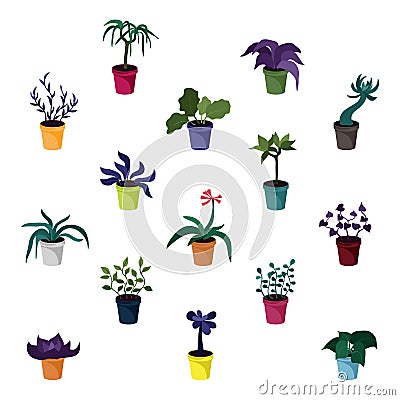 Set of houseplants Vector Illustration