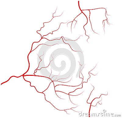 Set of human eye veins, red blood vessels, blood system. Vector illustration on white background Vector Illustration