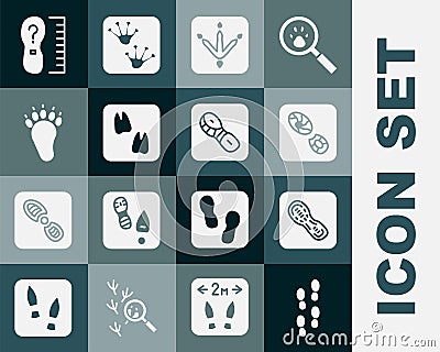 Set Human footprints shoes, Chicken paw, Camel, Bear, Square measure size and icon. Vector Stock Photo
