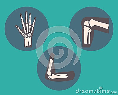 Set of human knee, elbow and ankle joints and wrist, emblem or sign of medical diagnostic center or clinic, flat design Stock Photo