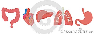 Set human organs intestines liver lungs stomach heart vector illustration Vector Illustration