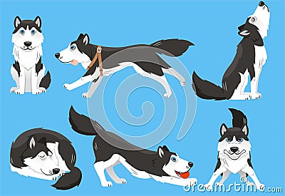 Set husky Stock Photo