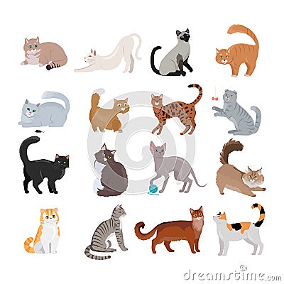 Set of Icons with Cats. Flat Design Vector. Vector Illustration