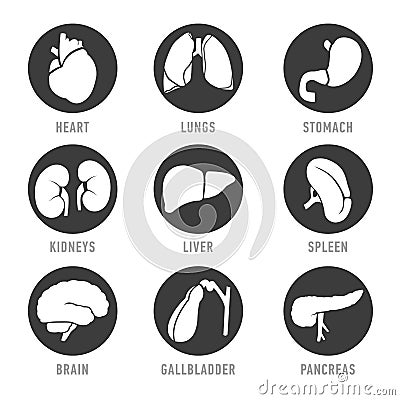 Set with icons of human organs. Vector Vector Illustration