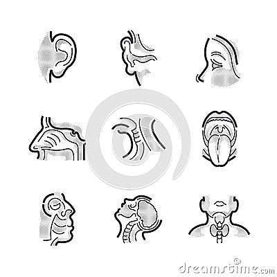 Set of Icons Medical Doctors Otolaryngology Vector Illustration