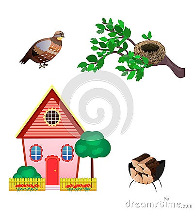 Set Icons Of Quail, Nest, House, Wood Isolated On White Background. Flat style. Vector illustration Vector Illustration