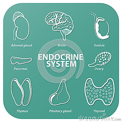 Set icons with shadow. Human organs Vector Illustration