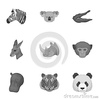 A set of icons of wild animals. Predatory and peaceful wild animals.Realistic animal icon in set collection on Vector Illustration