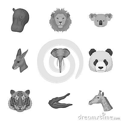 A set of icons of wild animals. Predatory and peaceful wild animals.Realistic animal icon in set collection on Vector Illustration