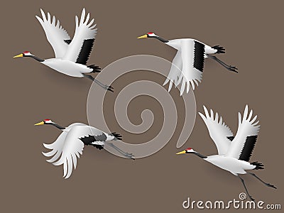 Set of Illustration Japanese Crane Birds Flying Vector Illustration