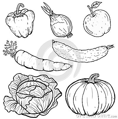 Set illustration of vegetables collection in line art Cartoon Illustration