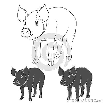 Set of illustrations depicting pigs. Vector Illustration