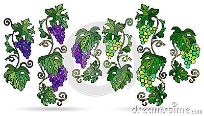 Stained glass illustration with grape vines isolated on a white background Vector Illustration