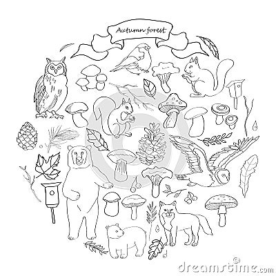 Set with the image of leaves, branches, berries, flowers, animals and birds, autumn elements, bear, squirrels, fox, owl Vector Illustration