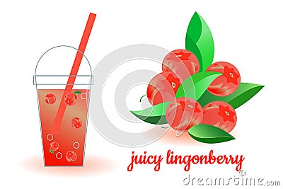 Set of images with glass of juicy lingonberry juice and whole lingonberry bush. Illustration in bright colors on white background Vector Illustration