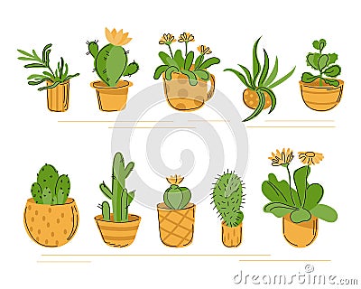 A set of indoor flowers in pots. Stylized shelf with cacti and succulents and other plants isolate. Vector illustration Vector Illustration