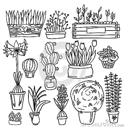 Set of indoor plants Vector Illustration
