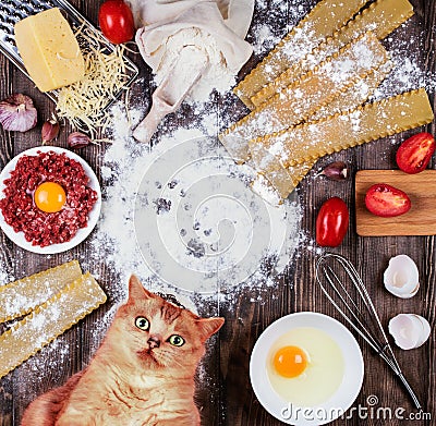 Set of ingredients for cooking Italian lasagna. top view Stock Photo