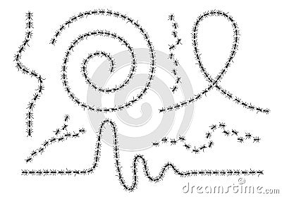 Set of insects and ants. Icon sign funny. A line of workers ants marching search Silhouette. Banner logo random pattern Vector Illustration