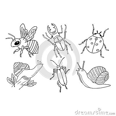 Set of Insects for Coloring Pages. Stock Photo