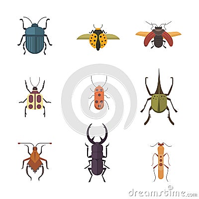 Set of insects flat style vector design icons. Collection nature beetle and zoology cartoon illustration Vector Illustration