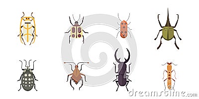 Set of insects flat style vector design icons. Collection nature beetle and zoology cartoon illustration Vector Illustration