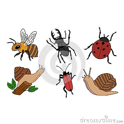 Set of Insects. Stock Photo