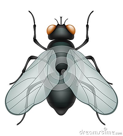 set insects wildlife animals vector illustration Vector Illustration