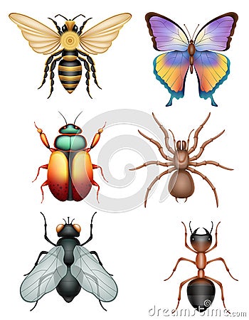 set insects wildlife animals vector illustration Vector Illustration