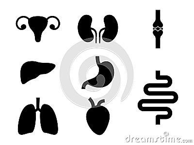 Set of internal organs icons. Human simple organs black shapes collection Vector Illustration