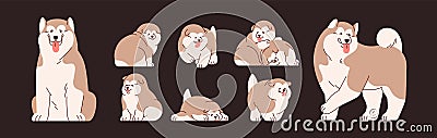 Set of isolated Alaskan Malamutes. Cute and funny Chinese dogs and puppies. Happy doggies sitting, standing, running and Vector Illustration