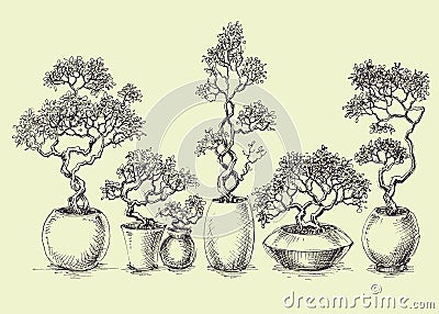 A set of isolated bonsai trees Vector Illustration