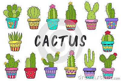 Set of isolated cactus in color Vector Illustration