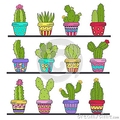 Set of isolated cactus in pots on shelf Vector Illustration