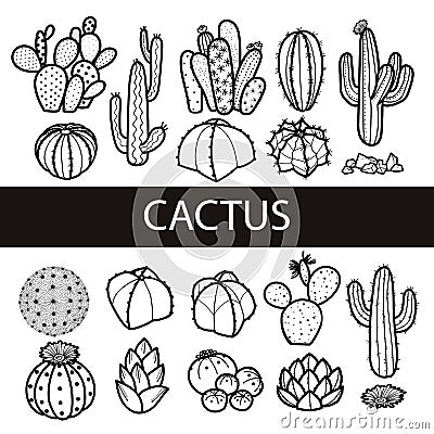 Set of isolated cactus and succulents in black outline. Vector Vector Illustration